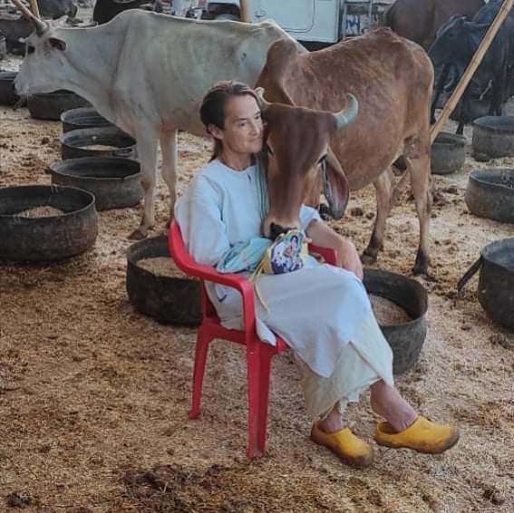 Sudevi faces shortage of space to keep the suffering cows