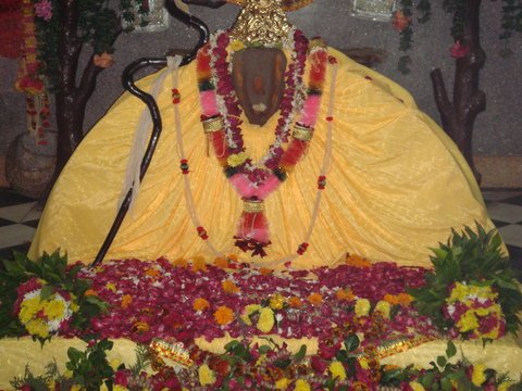 Swami Haridas appeared on Shri Radhashtami