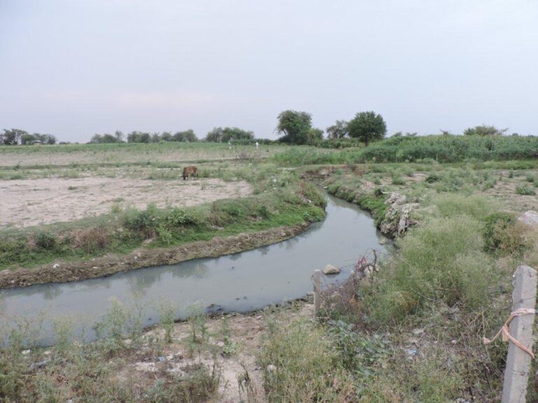 Kosi Drain biggest polluter of Yamuna in Vrindavan - Vrindavan Today