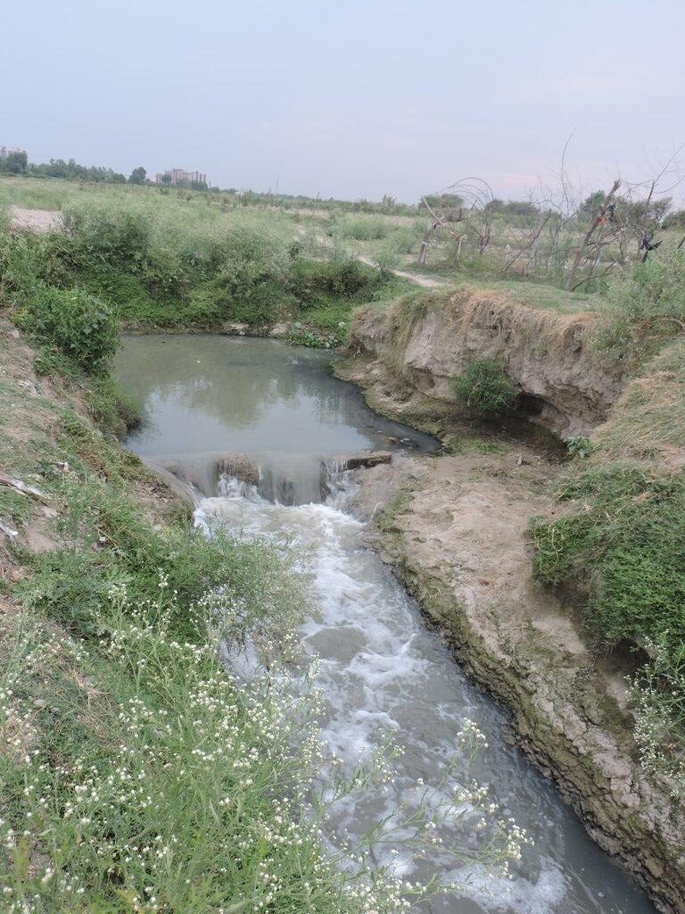 Kosi Drain biggest polluter of Yamuna in Vrindavan