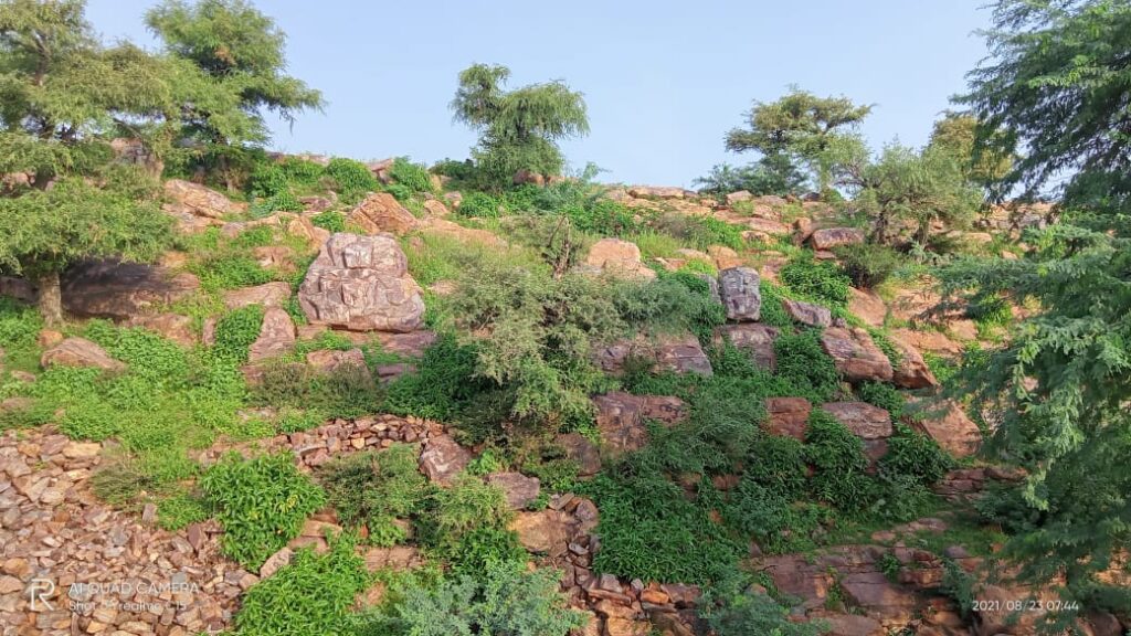 Govardhan hill