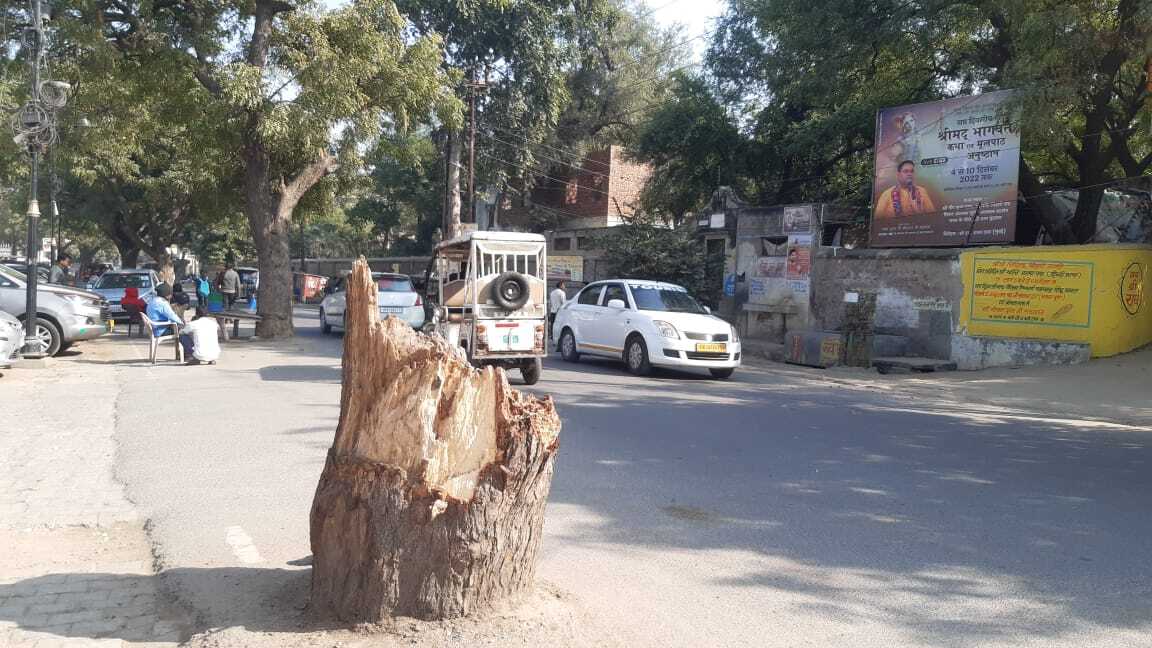 NGT orders de-concretization around trees in Vrindavan