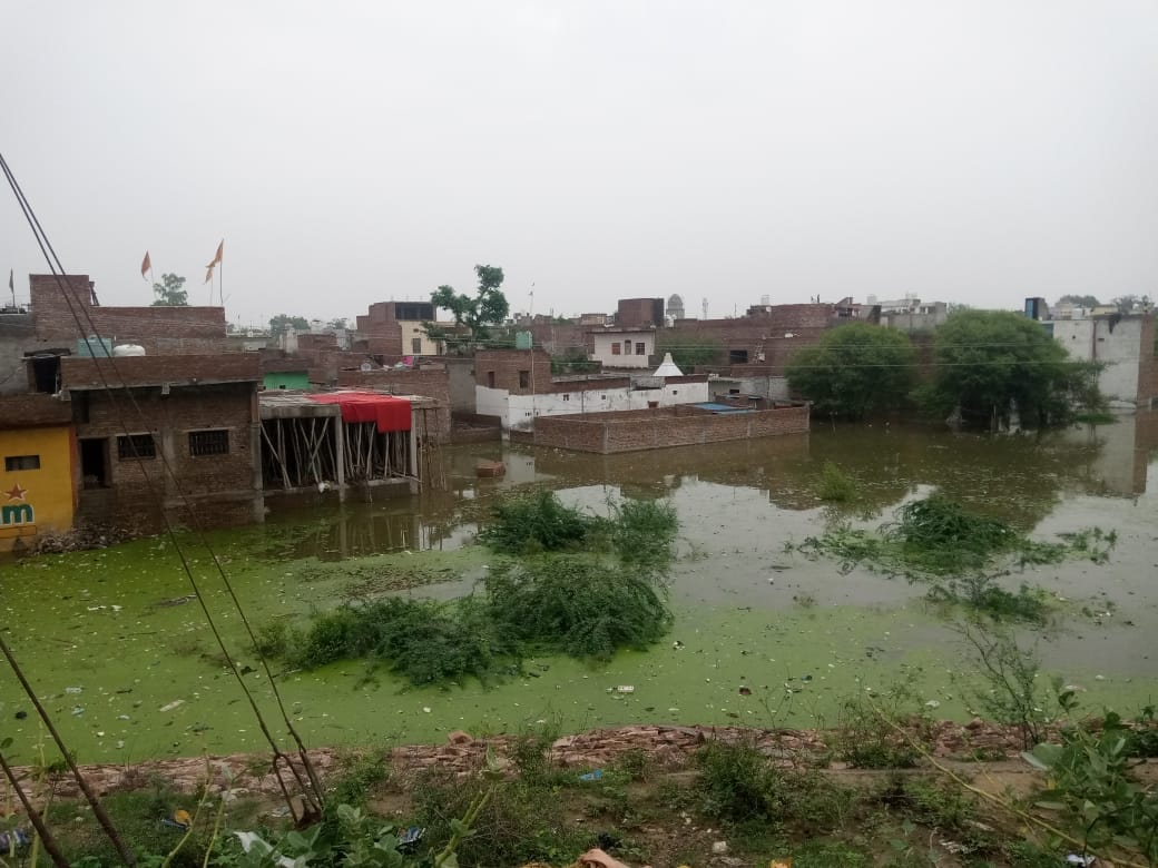 Impose Complete Ban on construction in Yamuna Flood Plain: Hema Malini