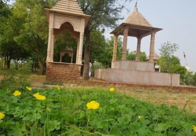 Teerth Vikas Parishad to restore Vajranabh’s Samadhi
