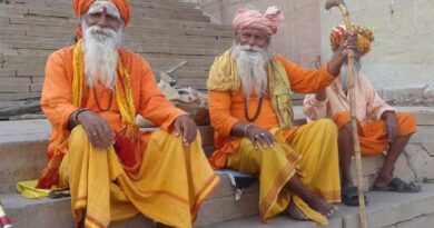 Gwariya Baba’s special bonding with Bihari ji