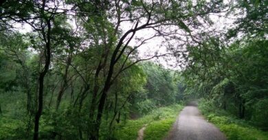 Ahilyaganj Forest reserve to be developed as a City Forest