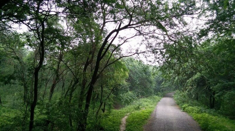 Ahilyaganj Forest reserve to be developed as a City Forest
