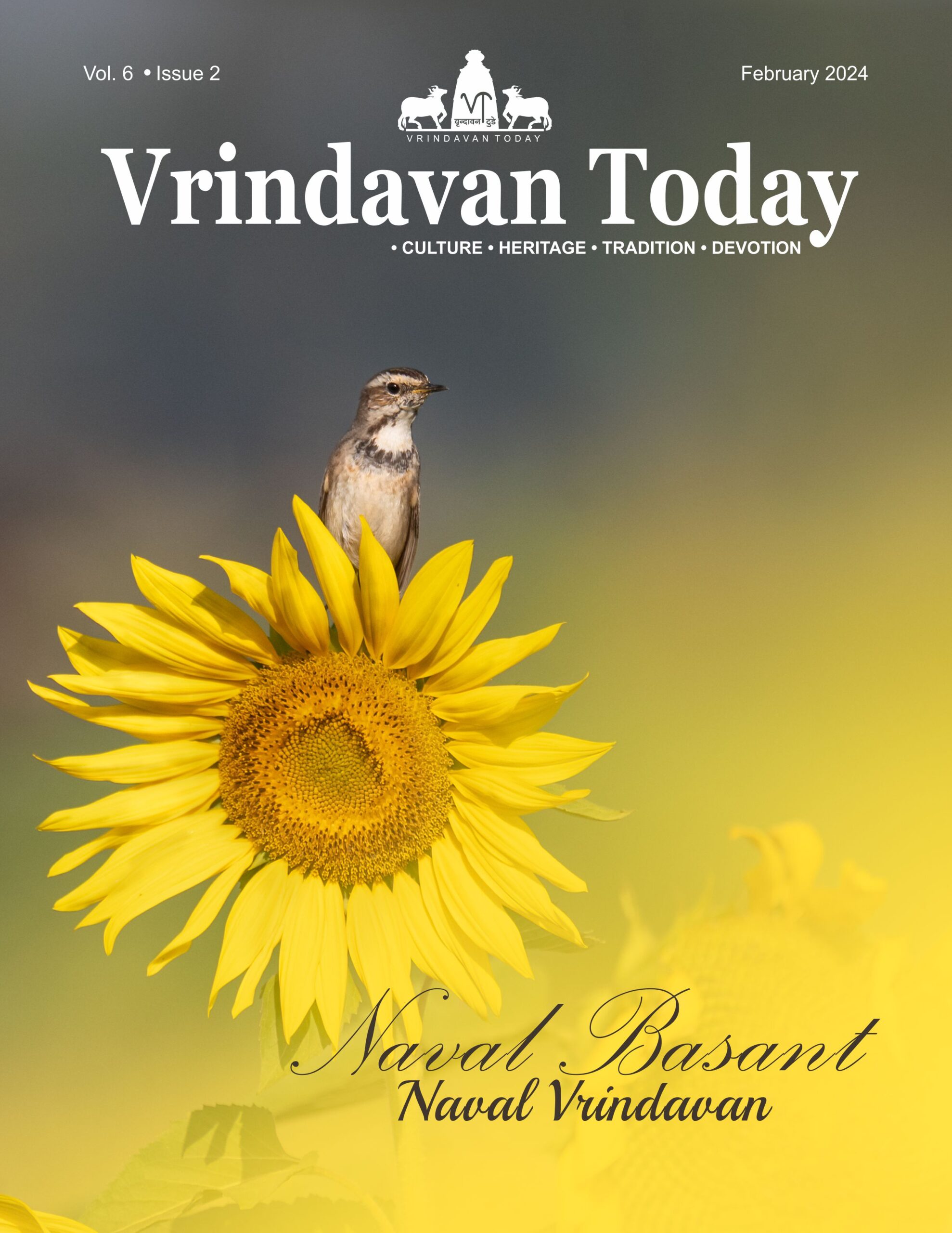 About Us - Vrindavan Today