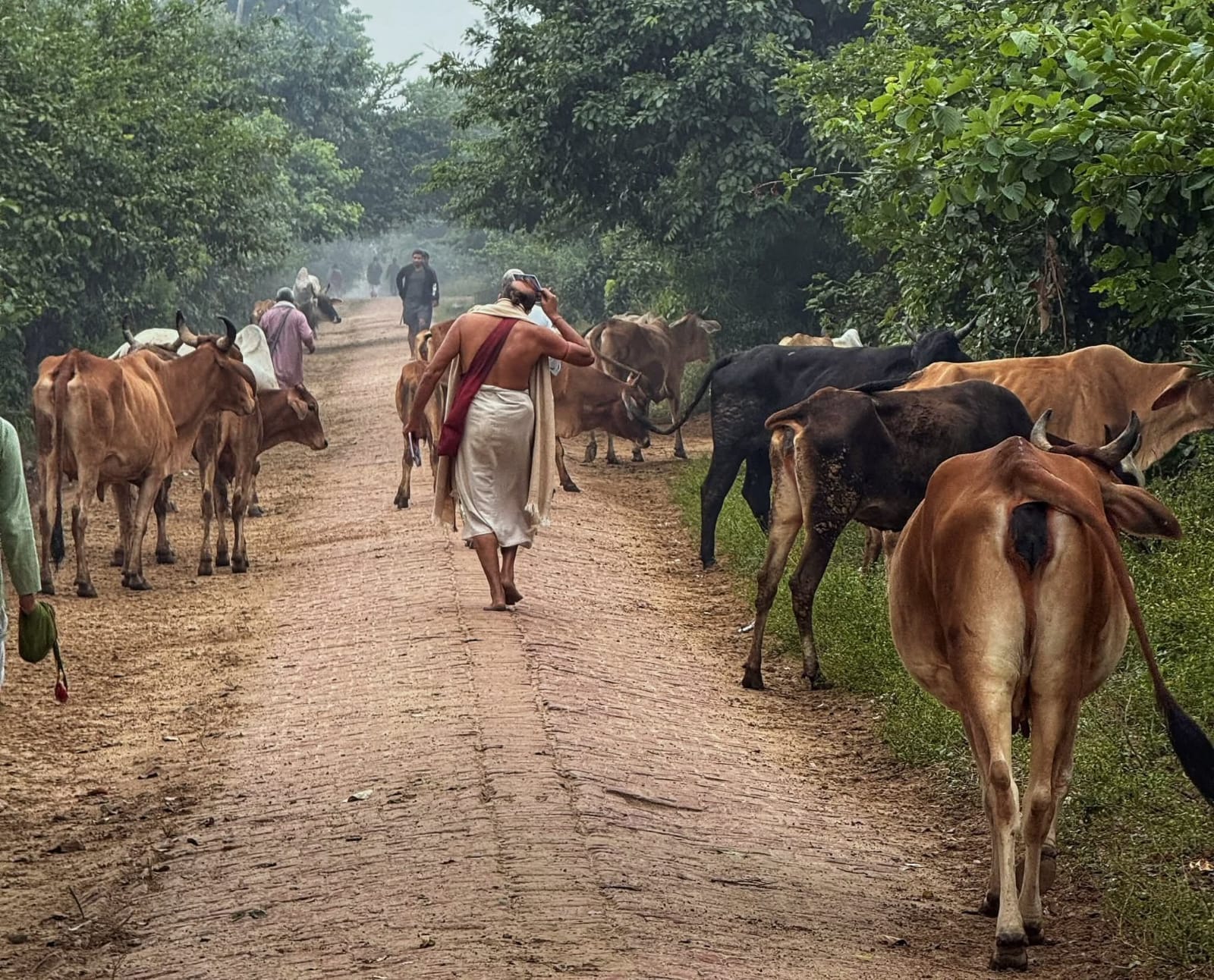 Vrindavan Transformation: From City of Hermitage to City of Modernity