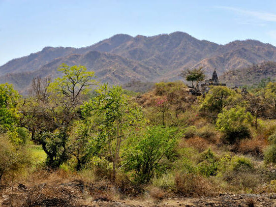 Defending the Aravallis: Why India’s Oldest Hills Need Saving Now