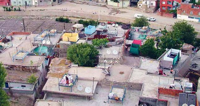 Summer Nights on the Terrace: Where love blossomed beyond boundaries